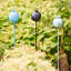 Iron Garden Statue-112880555