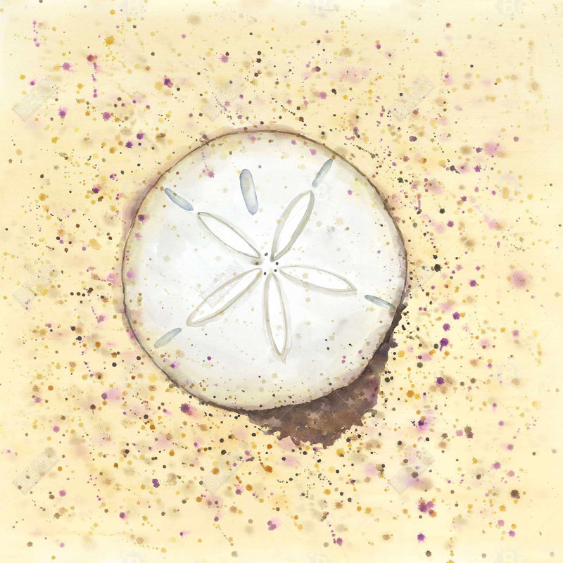 " Sand-dollar "