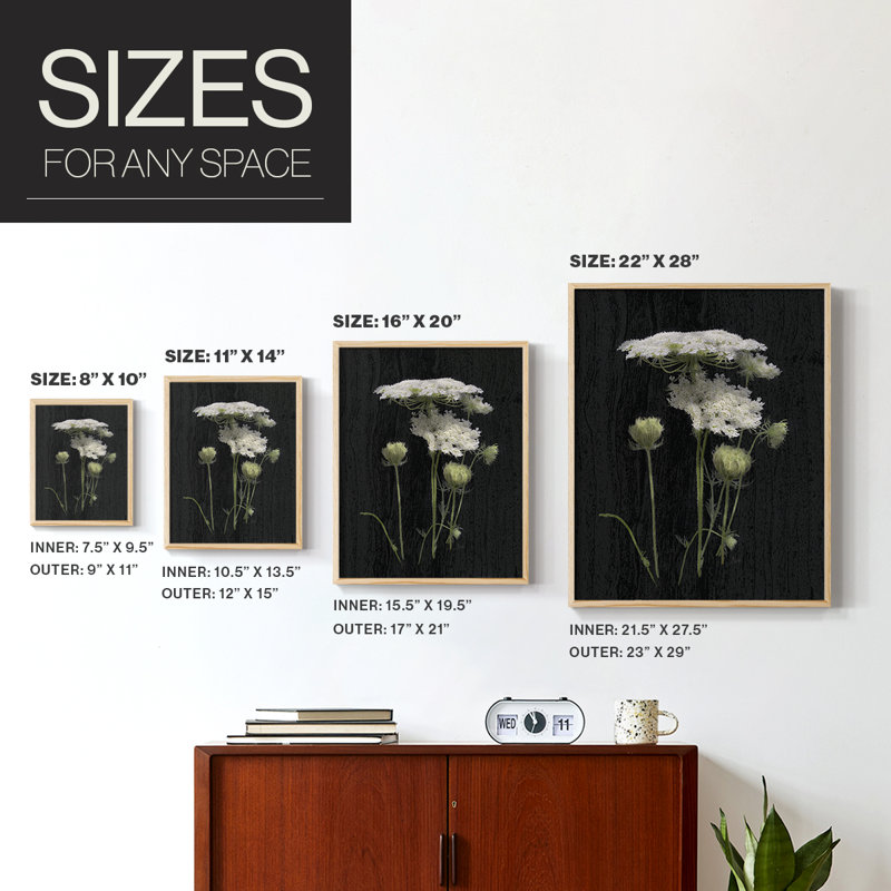Reproduction encadrée de Queens Lace II - bois massif, H 11 po x l 9 po