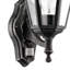 Deonte Outdoor Wall Lantern-13609999