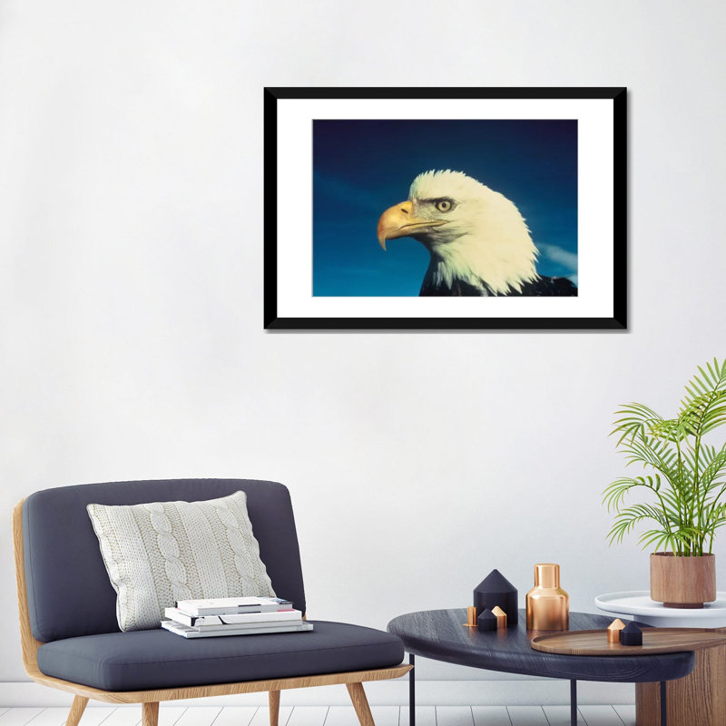 Pygargue à tête blanche, reproduction de photo sur toile, H 16 po x l 24 po x P 1 po, Papier d'art encadré noir