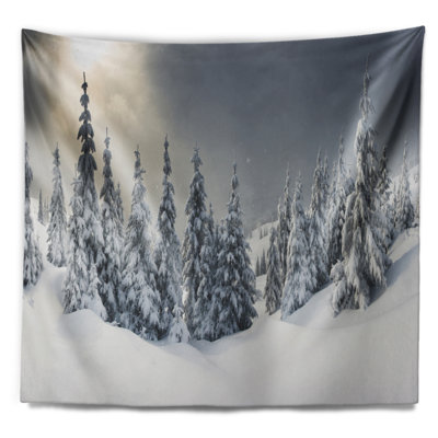 Tapisserie de paysage d'hiver de photographie