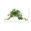Ochoa Faux Syngonium Plant in Ceramic Vase