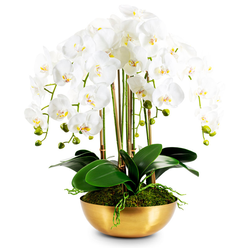 Abigail Gold Realtouch Orchid, White