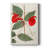 FloraOfTheTropicsII -Custom Wrapped Gallery Cavas-404540429