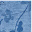 Tapis damassé Alonie Performance-22788065