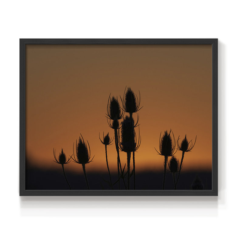 Silhouette de coucher de soleil - reproduction encadrée - réarmable, H 22 po x l 28 po, Noir