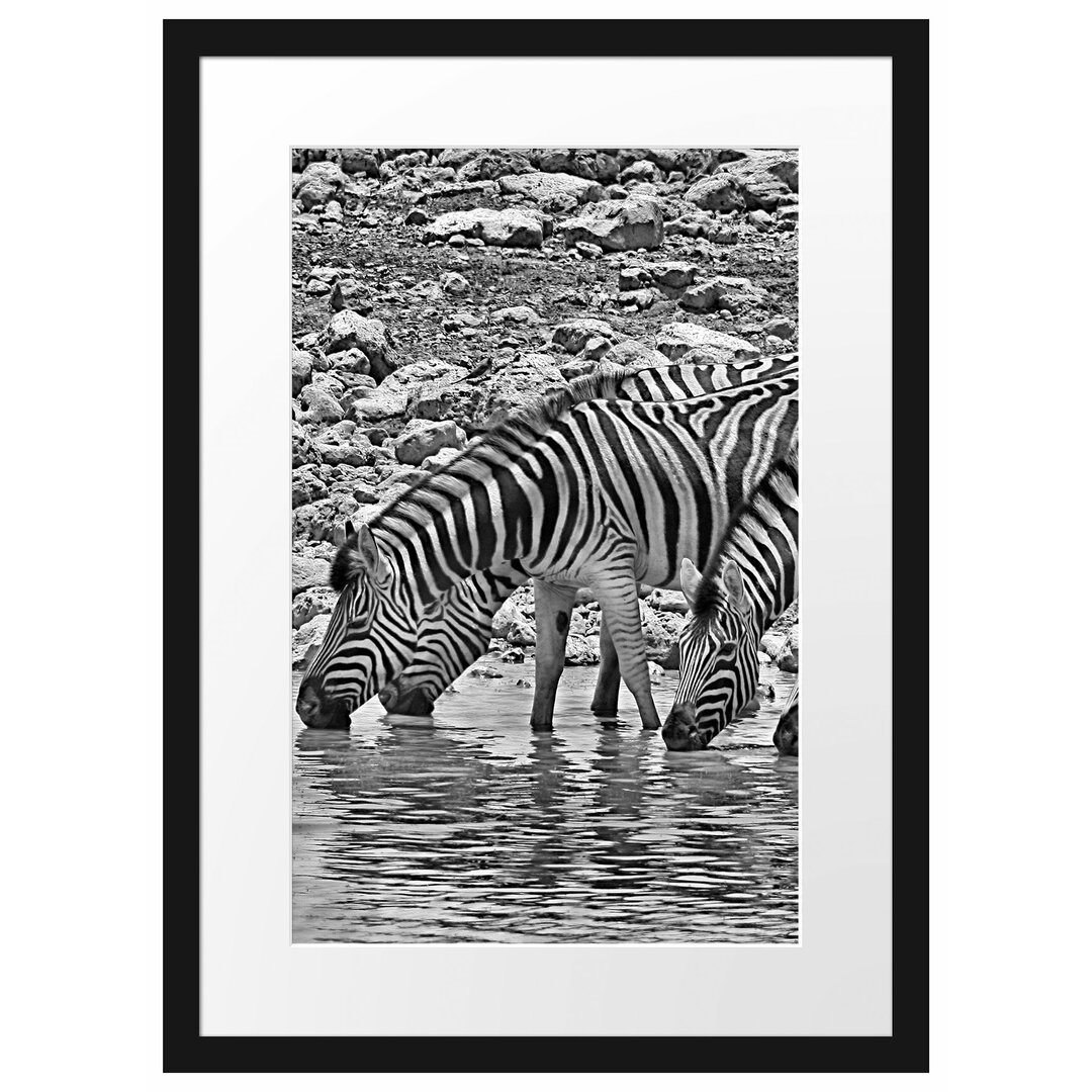 Gerahmtes Poster Zebraherde am Wasserloch