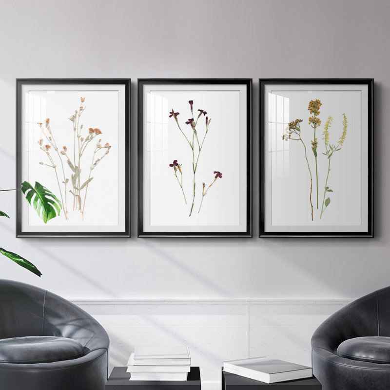 Pressed Botanical I, reproduction encadrée de qualité supérieure, prête à être accrochée, Noir
