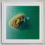 Single Picture Frame Print-120219176