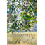 Olives and Vines - Picture Frame Photograph on Paper -74856297-87886847