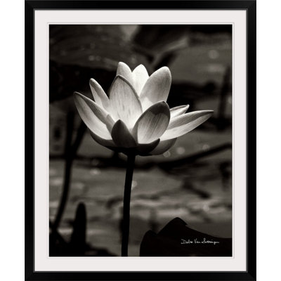 « lotus fleur vii » par marie van swearingen, reproduction de photo