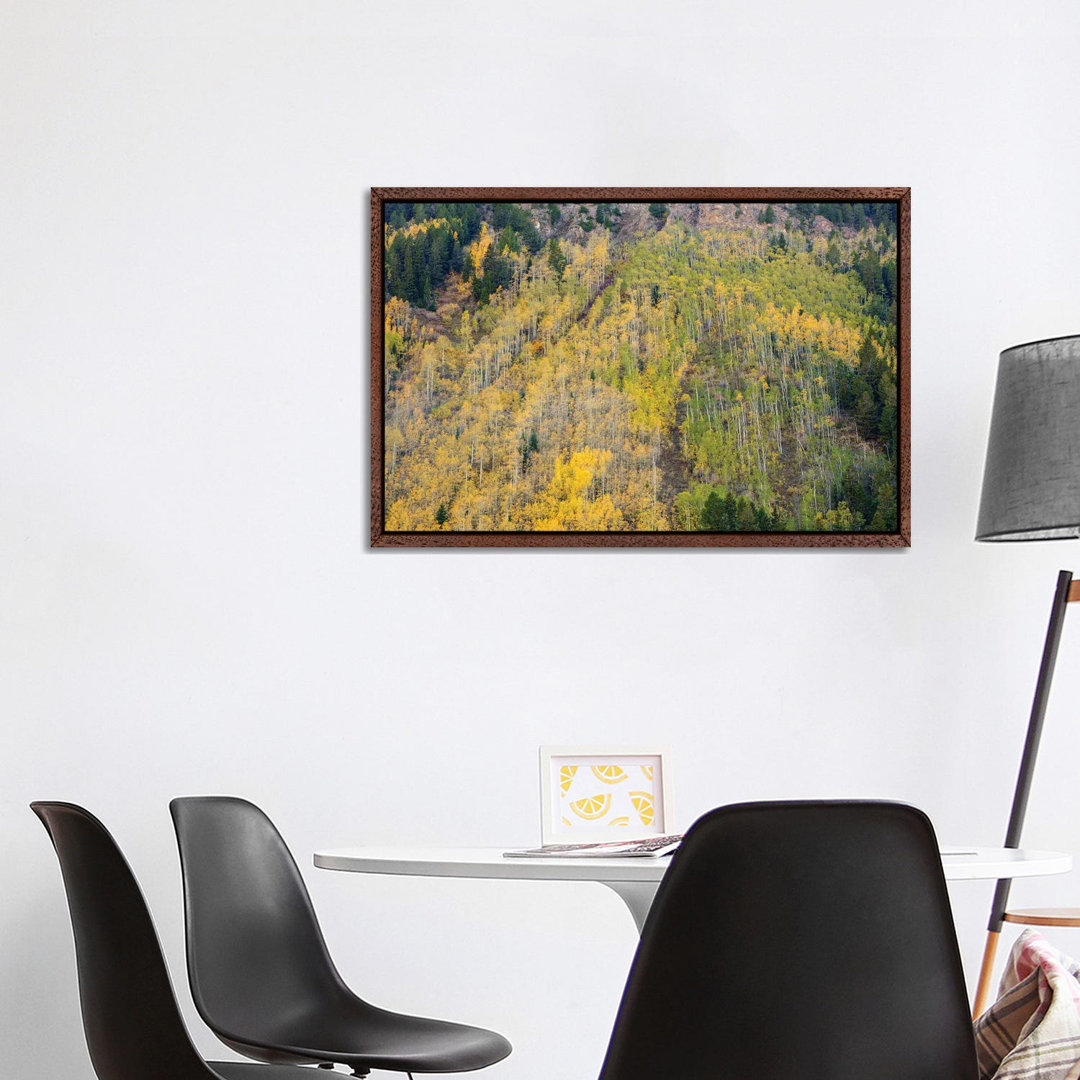 Aspens In Autumn von Bill Sherrell - Galerie-verpackte Leinwand Giclée auf Leinwand