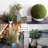 27'' Faux Plant