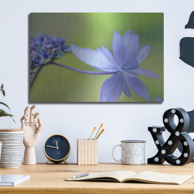 «Blue HCora Nieleydrangea» par Cora Niele, H 12 po x l 16 po