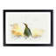 King Penguin in Abstract - Framed Print-55767439-55767444