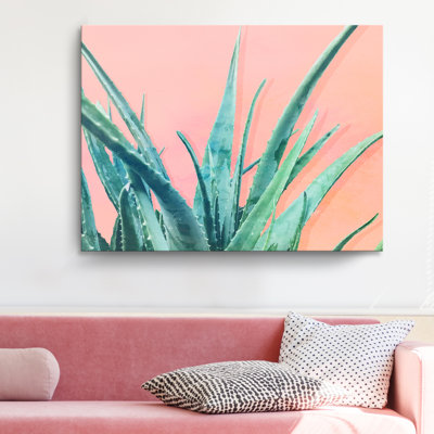 " Aloe Need "