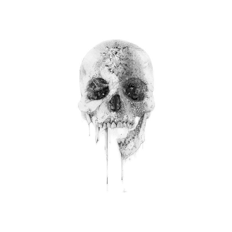Crystal Skull by Alexis Marcou - Print on Canvas, 66.04 cm H x 45.72 cm W x 1.91 cm D, No Frame