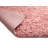 Mecosta Indoor Rug-4423310