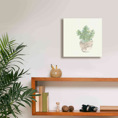 " Succulent II " by Chris Paschke