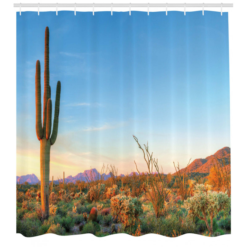 Ensemble de rideau de douche et crochets saguaro, H 70 po x l 69 po