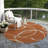 Machine Washable Indoor/Outdoor Chayden ACN999 Rug-1402299498