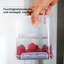 Casitas Food Storage Container