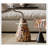Italian Classic Light Luxury Style Coffee Table