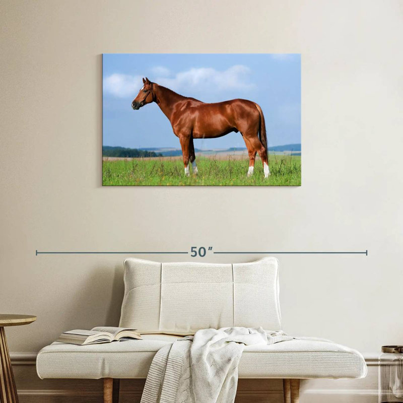 Brampt Still Chestnut Horse, 24" H x 36" W