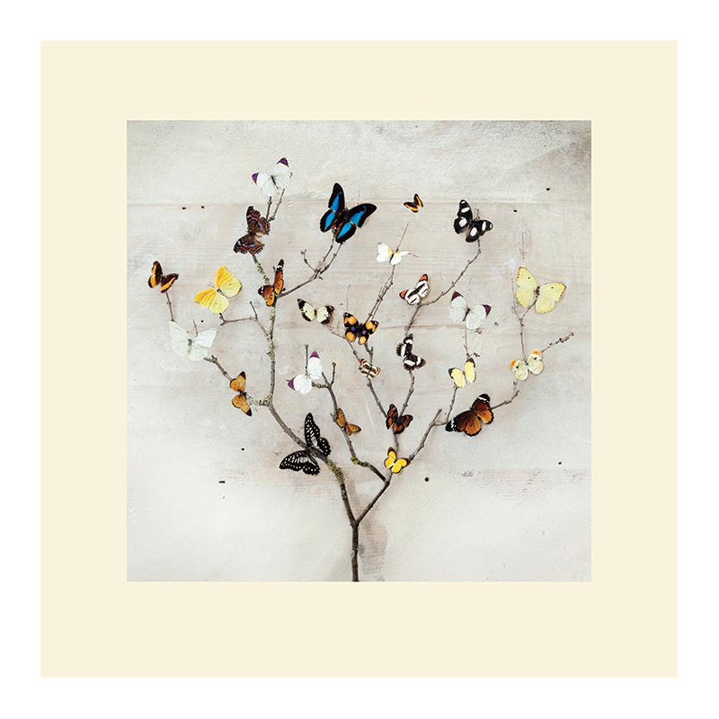 Ian Winstanley - Print