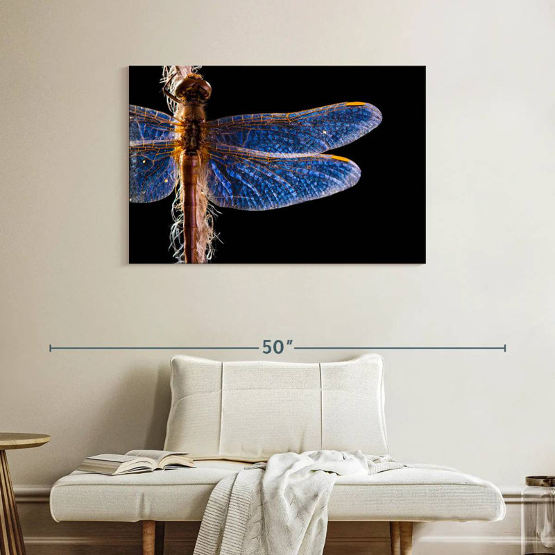 Brampt Blue Dragonfly Wings, 26" H x 39" W