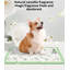 Tapis pour chien (ensemble de 100)-187773981