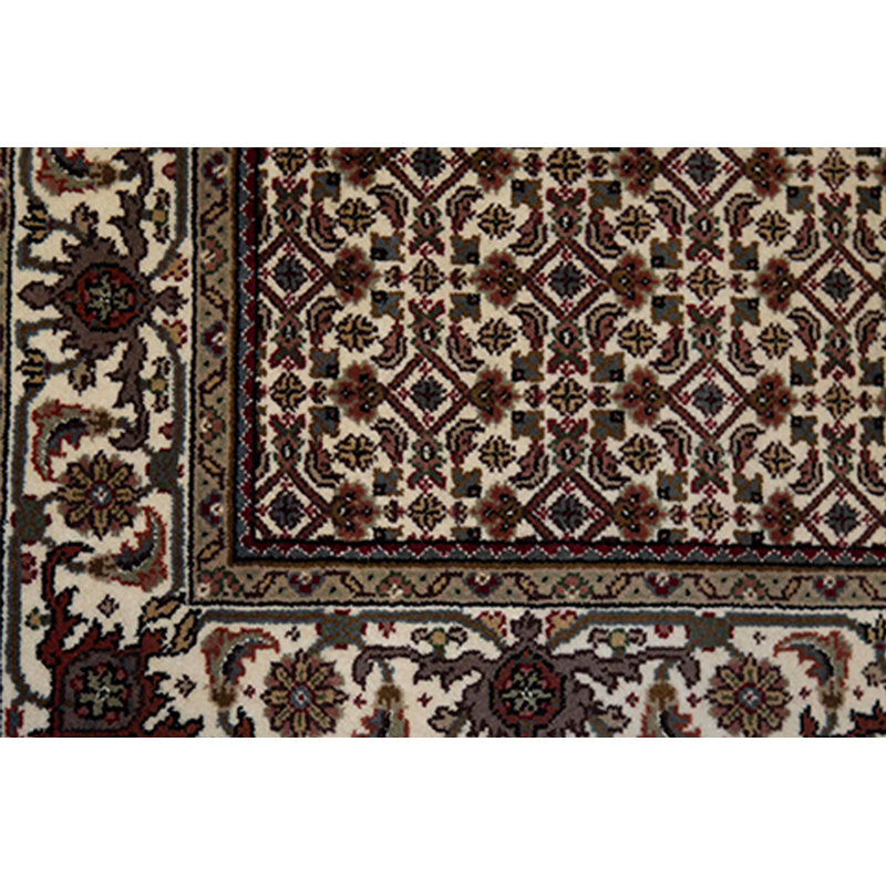Oriental Area Rug