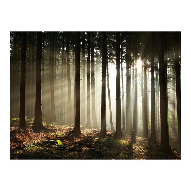 Dayon Wall Mural, 90" L x 118" W