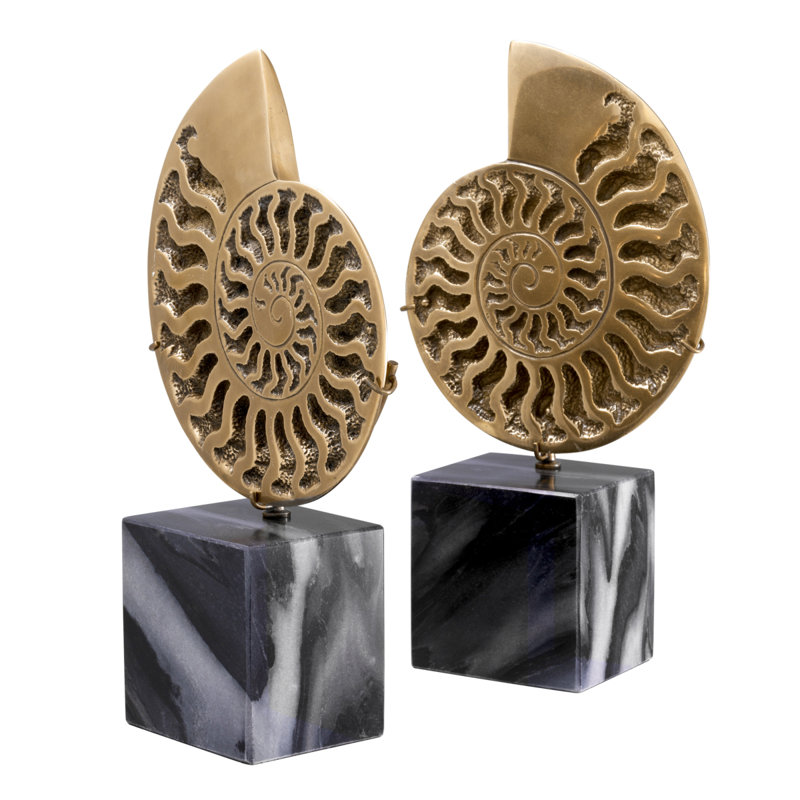 Décoration d'ammonite