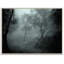 Print on Canvas-25210751-25210756