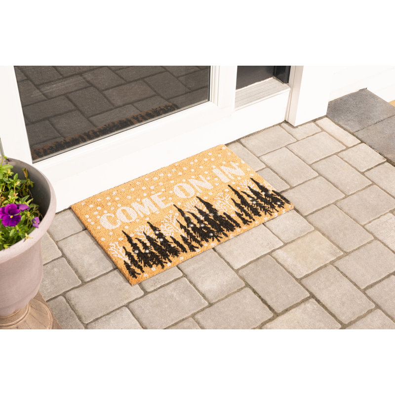 Adasynn Non-Slip Outdoor Doormat