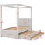 Upholstery Canopy Platform Bed With Trundle-1686800387