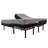 Hartzler Quick Assembly Adjustable Bed Frame with Voice Activated Controls-88136898