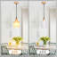 Priella 1 - Light Natural Drum Pendant