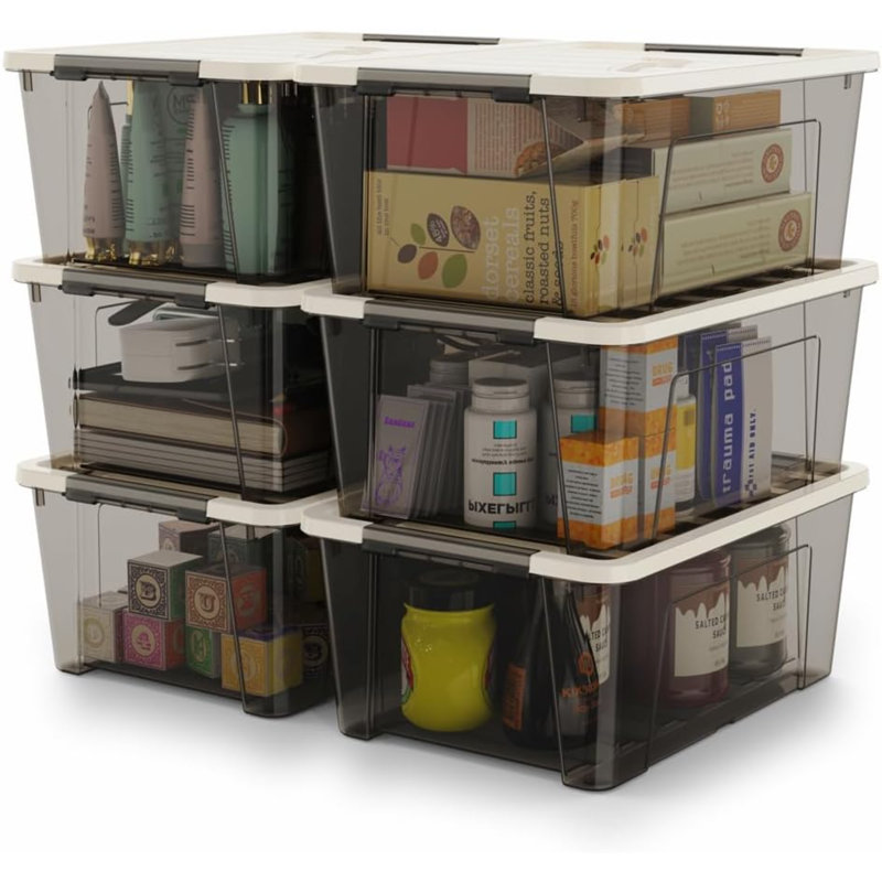 Rebrilliant Plastic Storage Tub & Tote