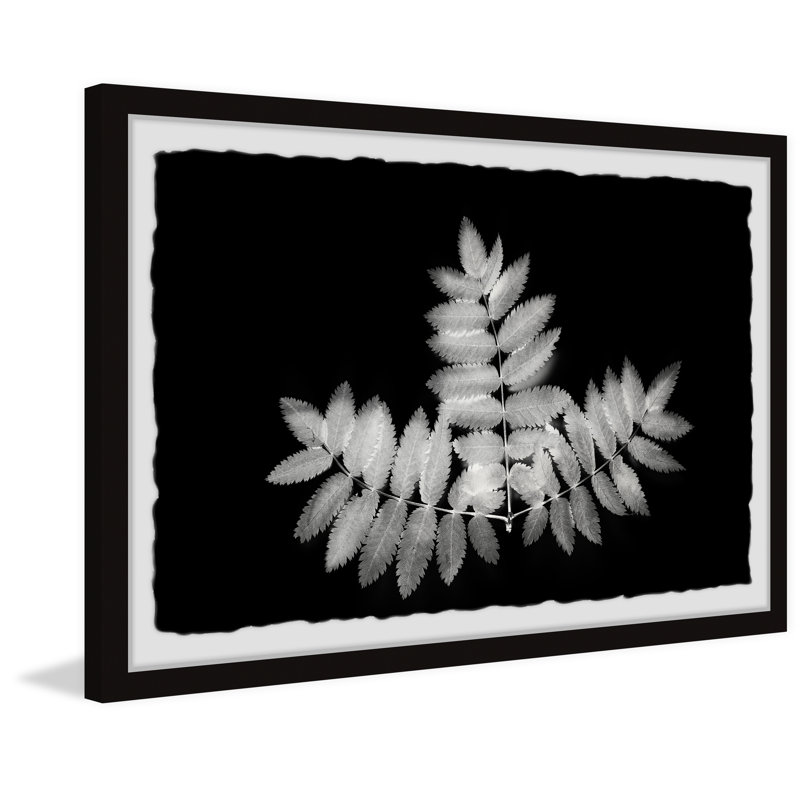 Contrasting Leaves - Single Picture Frame Painting, 41cm H x 61cm W x 3.81cm D