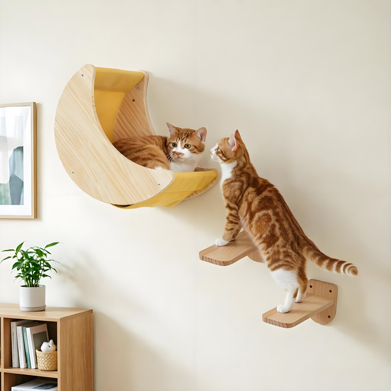 Escalier mural pour chat avec hamac