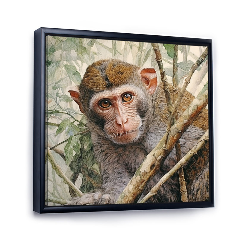 Wild Monkey IV sur toile, H 36 po x l 36 po x P 1,5 po, Cadre flottant noir