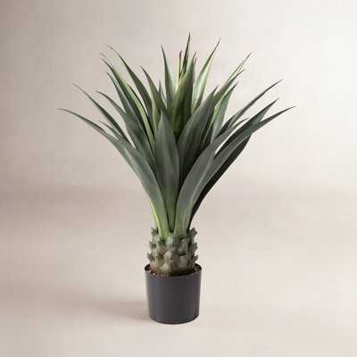 39" Agave Plant in Pot