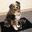 Perro & Gato Soft Chenille Pet Mat Placemat-78370602-78370603
