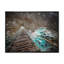 «Hanging Bridge over Turquoise River», reproduction sur toile flottante-2032266668-2032266669