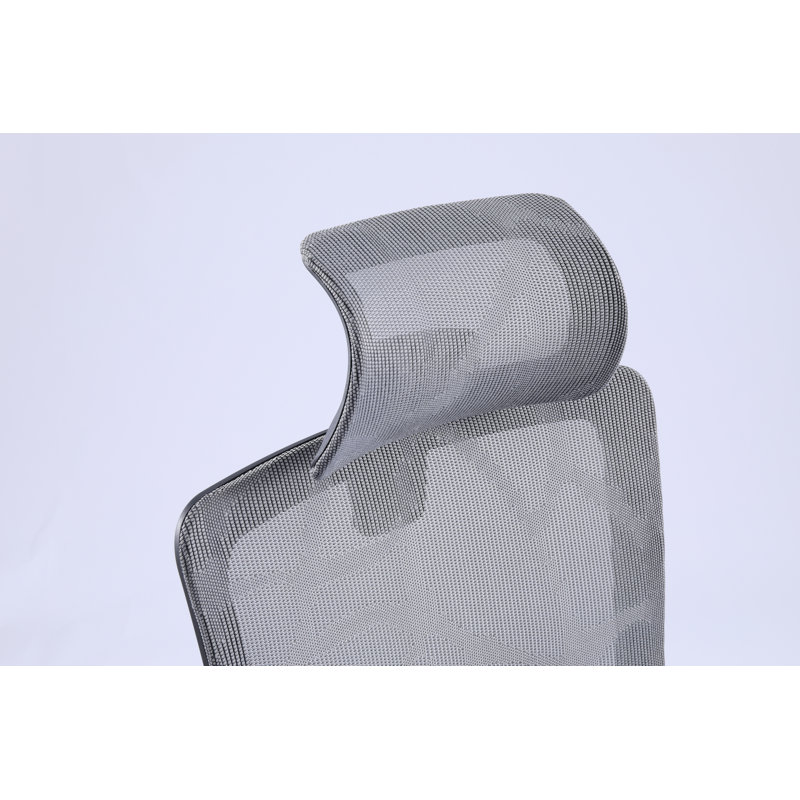 Fauteuil de bureau ergonomique Casson Mesh, gris