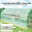 Velez Greenhouse-26700088