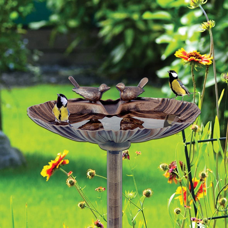 Mclamb Plastic / Acrylic Single Tier Birdbath